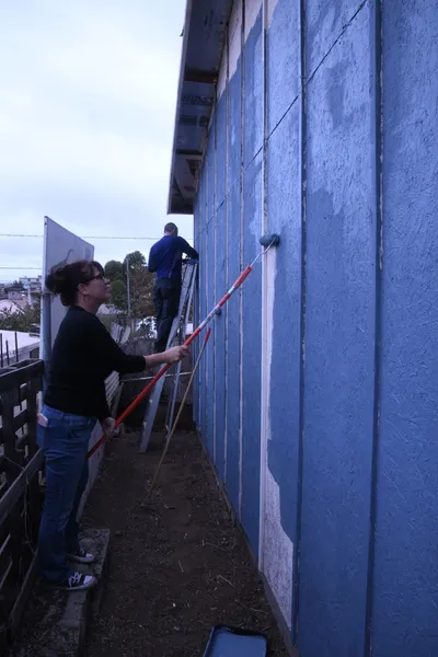 DSC_1303 (Large).JPG